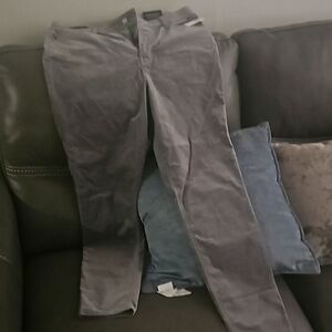 Gap velvet pants gray